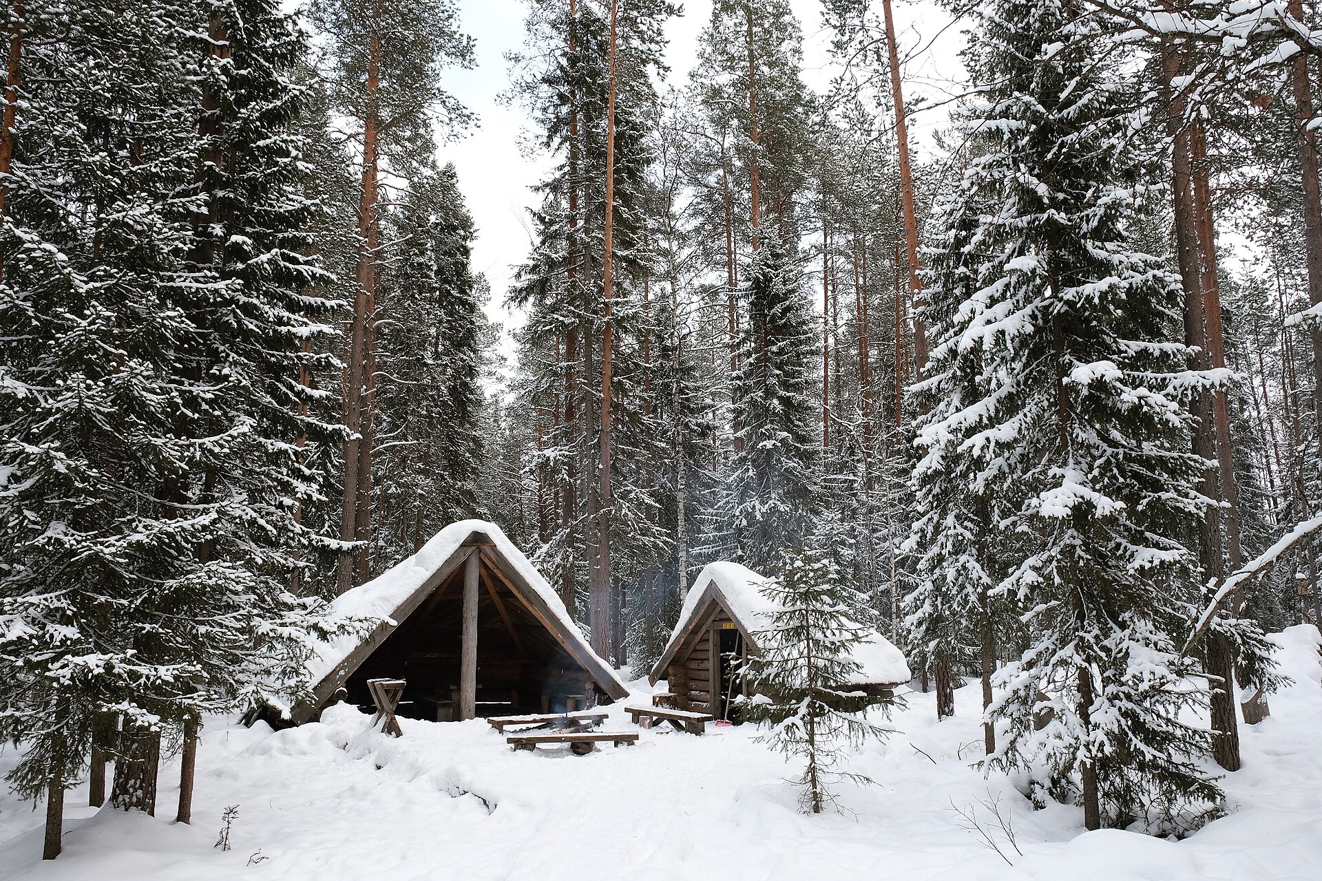 Two snow-roofed wooden shelters among tall snow-laden pine trees in a Finnish Lapland forest.