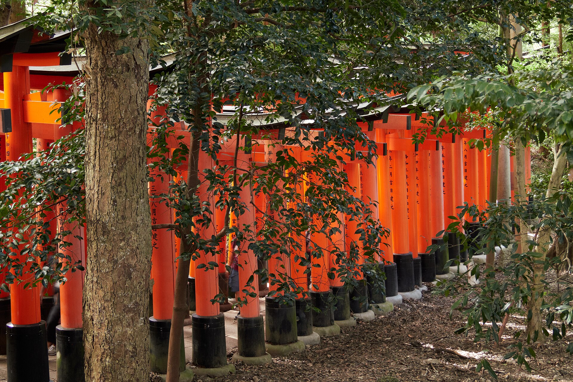 A path lined with rows of closely spaced vermilion torii gates at Fushimi Inari Taisha, receding into forest.