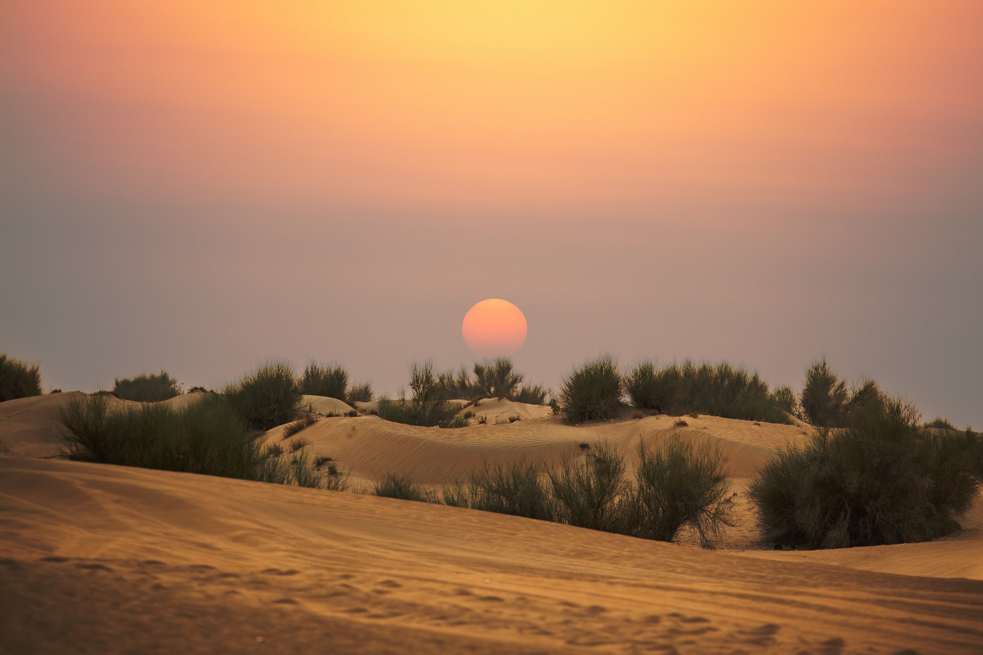 The desert outside Dubai at sunset, with wide dune ridges lit orange and gold by the low sun.