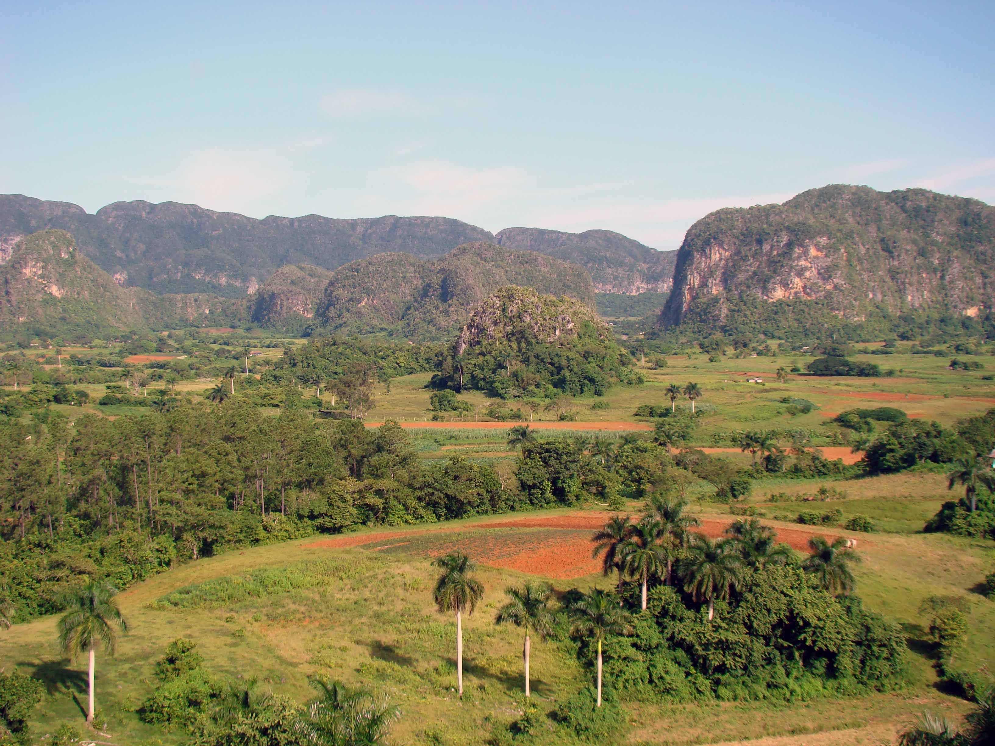 A wide view across the Viñales Valley, with the characteristic steep-sided limestone mogotes rising from the flat tobacco farmland below.